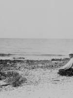 O 26º presidente dos Estados Unidos, Theodore Roosevelt (1901-1909), em 1915, já aposentado, no Refúgio Naclonal de Vida Silvestre Breton, criado em 1904, nas Ilhas Chandeleur, um desabitado arquipélago que serve de pouso para aves migratórias no Golfo do México a cerca de 80 km da costa da Louisiana. Foto: U.S. Fish and Wildlife Service/Library of Congress.