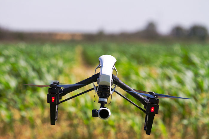 Sem trabalhadores, empresa cria drones com IA para colher frutas