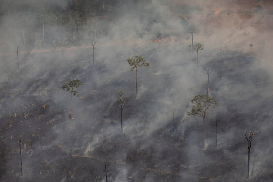 Jornal da Unesp  Tão distante, mas tão perto: como as queimadas