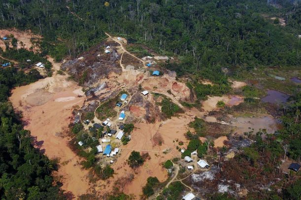 Antropólogo da Unesp analisa histórico de invasões de garimpeiros