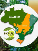 Jornal da Unesp  Perspectiva de novos projetos na Amazônia coloca