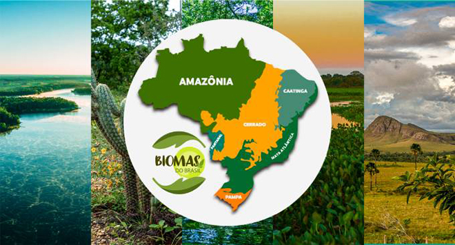 Brasil: Biomas - Disciplina - Geografia