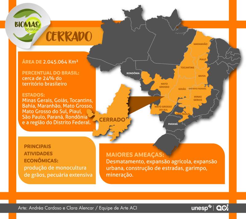 Expansão urbana e agronegócio ameaçam Mata Atlântica, alerta