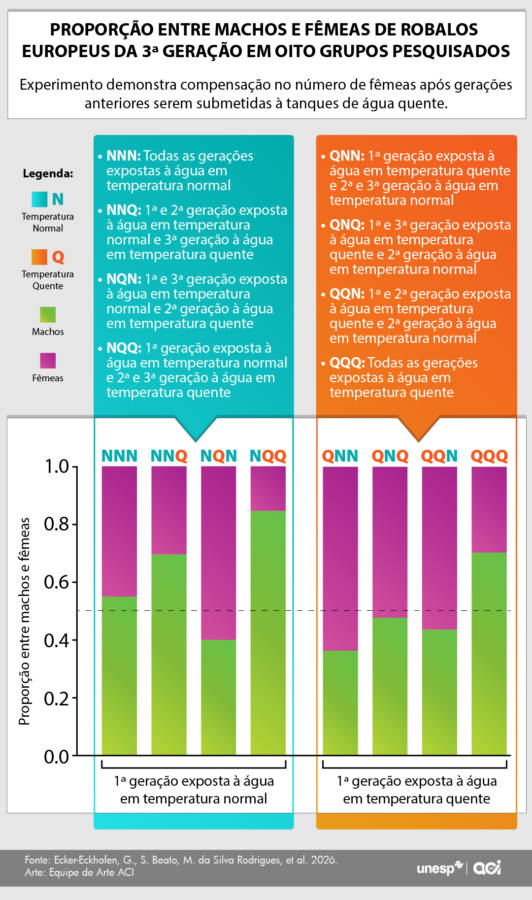 Info sexagem de peixes