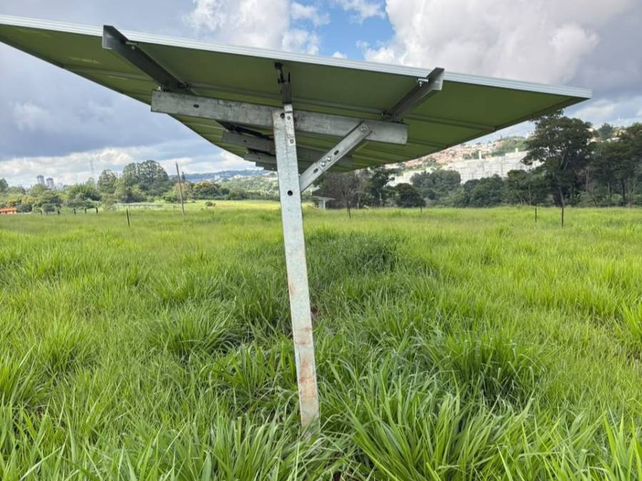 Novo centro de pesquisa da Unesp investiga sustentabilidade e bem-estar animal na produção de leite